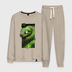 Костюм хлопковый мужской Дважды удачливая змея, цвет: миндальный