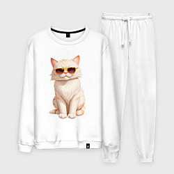 Мужской костюм Кот в солнечных очках