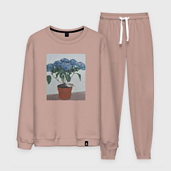 Костюм хлопковый мужской Спящий воробушек на гортензии, цвет: пыльно-розовый