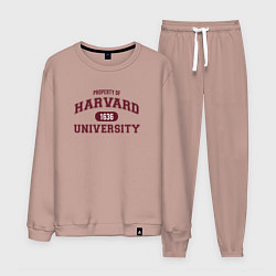 Мужской костюм Harvard