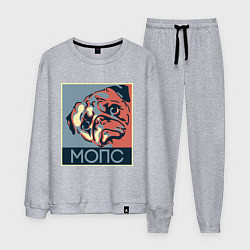 Костюм хлопковый мужской Мопс, цвет: меланж