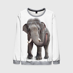 Свитшот мужской Большой слон, цвет: 3D-меланж