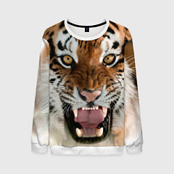 Свитшот мужской Свирепый тигр, цвет: 3D-белый