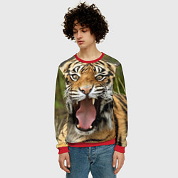 Свитшот мужской Удивленный тигр, цвет: 3D-красный — фото 2