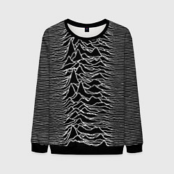 Свитшот мужской Joy Division: Unknown Pleasures, цвет: 3D-черный