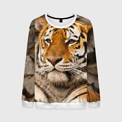 Свитшот мужской Мудрый тигр, цвет: 3D-белый