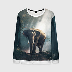 Свитшот мужской Слон в лесу, цвет: 3D-белый