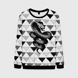 Свитшот мужской Snake Geometric, цвет: 3D-черный