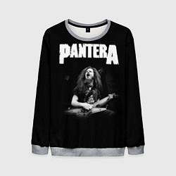 Свитшот мужской Pantera, цвет: 3D-меланж