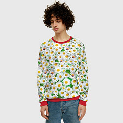 Свитшот мужской Полевые ромашки, цвет: 3D-красный — фото 2