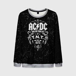 Мужской свитшот AC/DC: Run For Your Life