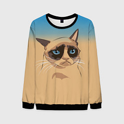 Свитшот мужской Grumpy cat, цвет: 3D-черный