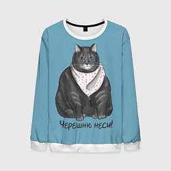 Свитшот мужской Черешню неси!, цвет: 3D-белый