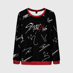 Свитшот мужской STRAY KIDS, цвет: 3D-красный