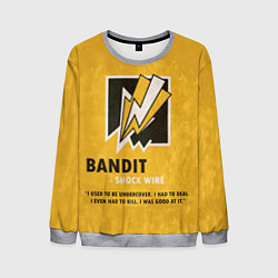 Свитшот мужской Bandit R6s, цвет: 3D-меланж