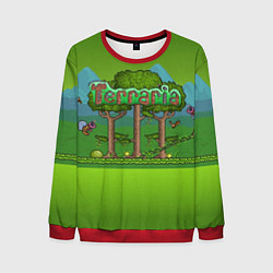 Мужской свитшот Terraria