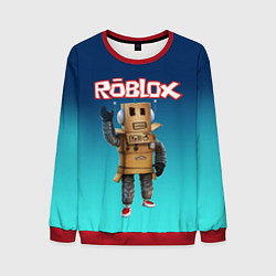 Мужской свитшот ROBLOX