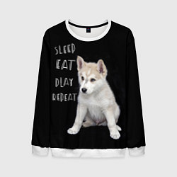 Свитшот мужской Sleep Eat Play Repeat Хаски щенок, цвет: 3D-белый