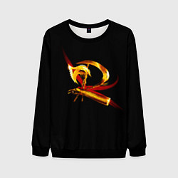 Мужской свитшот DMC