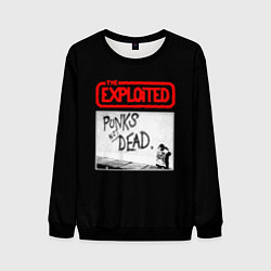 Свитшот мужской Punks Not Dead, цвет: 3D-черный