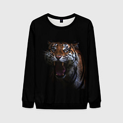 Свитшот мужской Тигр, цвет: 3D-черный