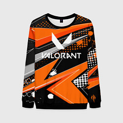 Свитшот мужской Valorant, цвет: 3D-черный
