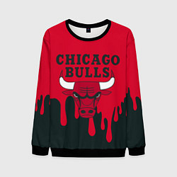 Свитшот мужской Chicago Bulls, цвет: 3D-черный