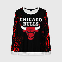 Мужской свитшот CHICAGO BULLS