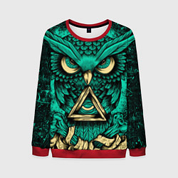Мужской свитшот Тотемная сова