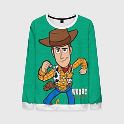 Мужской свитшот Woody