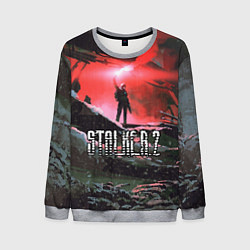 Свитшот мужской Stalker 2, цвет: 3D-меланж