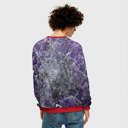 Мужской свитшот Роза инков / 3D-Красный – фото 4