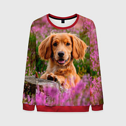 Мужской свитшот Dog