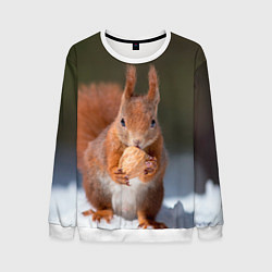 Свитшот мужской Белка с орехом на снегу, цвет: 3D-белый