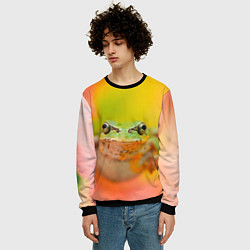 Свитшот мужской Лягушка в цветке мило, цвет: 3D-черный — фото 2