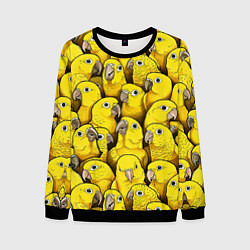 Свитшот мужской Попугаи, цвет: 3D-черный