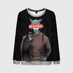 Мужской свитшот BEASTARS