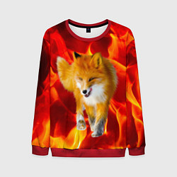 Мужской свитшот Fire Fox