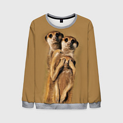 Свитшот мужской Сурикаты, цвет: 3D-меланж