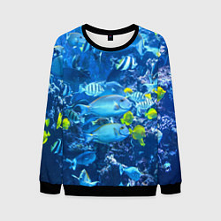 Свитшот мужской Коралловые рыбки, цвет: 3D-черный