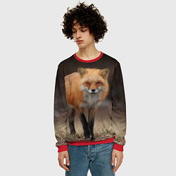 Свитшот мужской Хитрая лисица, цвет: 3D-красный — фото 2