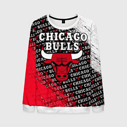 Свитшот мужской CHICAGO BULLS 6, цвет: 3D-белый