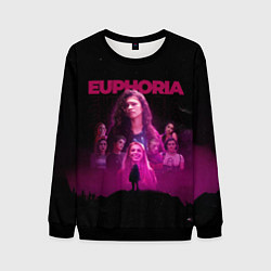 Свитшот мужской Euphoria team, цвет: 3D-черный