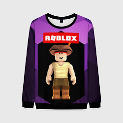 Свитшот мужской ROBLOX РОБЛОКС Z, цвет: 3D-черный
