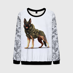 Свитшот мужской Служебная собака К9 K9, цвет: 3D-черный