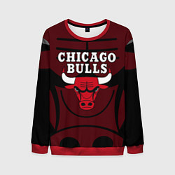 Свитшот мужской CHICAGO BULLS ЧИКАГО БУЛЛС НА ФОНЕ, цвет: 3D-красный