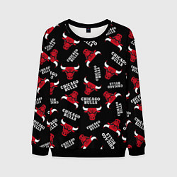 Свитшот мужской CHICAGO BULLS БЫКИ УЗОР, цвет: 3D-черный