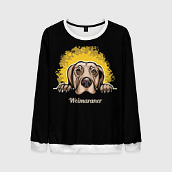 Мужской свитшот Веймаранер Weimaraner