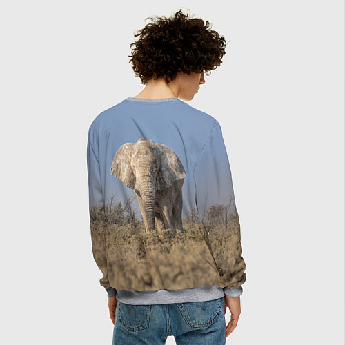 Мужской свитшот Африканский белый слон / 3D-Меланж – фото 4