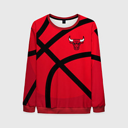 Мужской свитшот Чикаго Буллз Chicago Bulls NBA